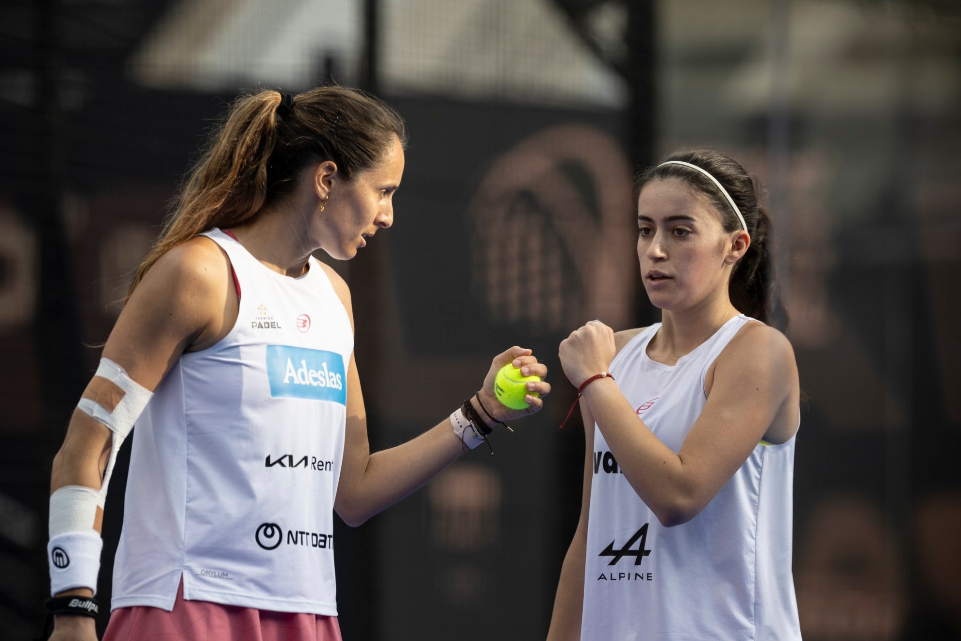 引发了球迷 引发了球迷