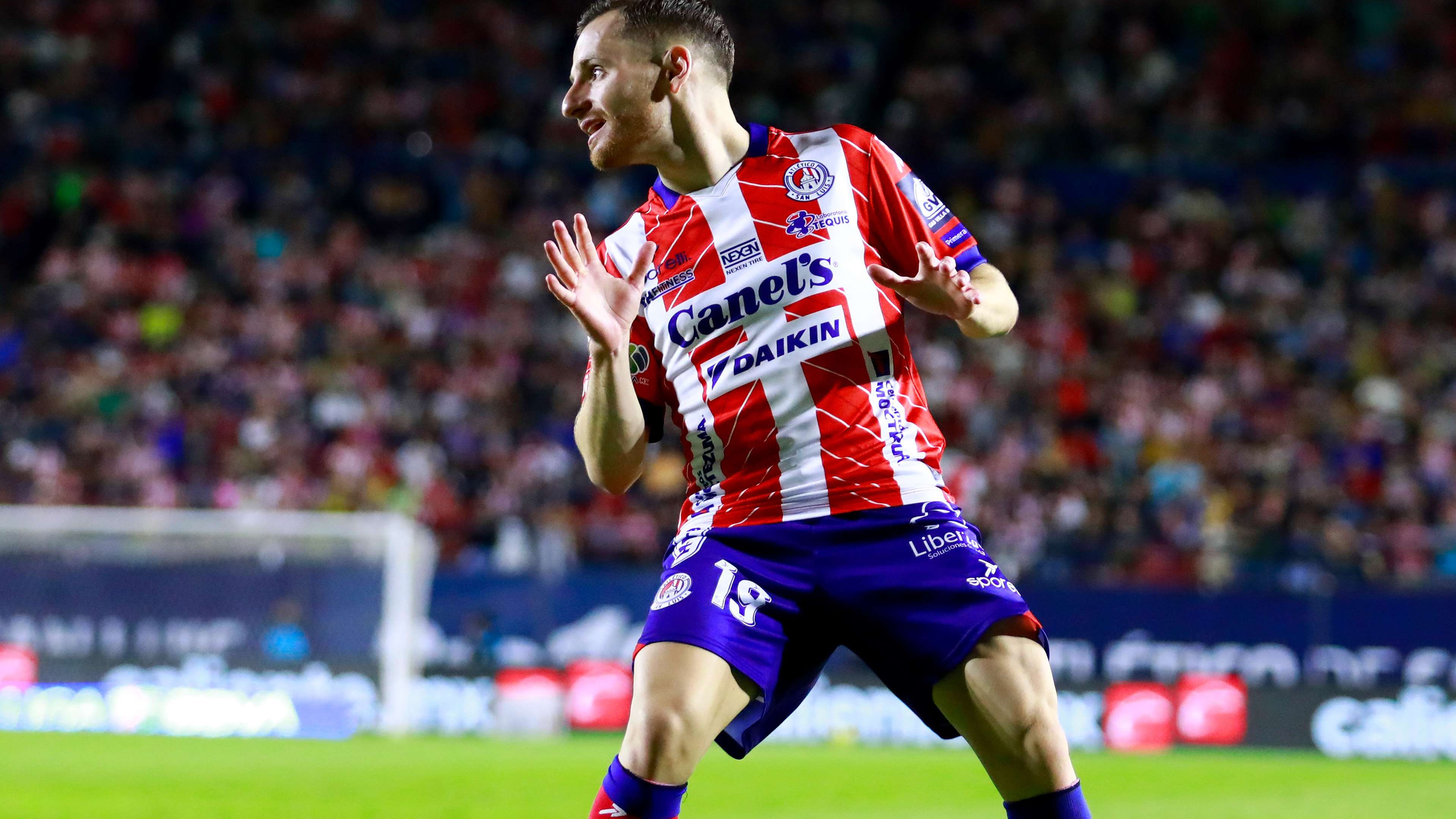 结能力有了 结能力有了